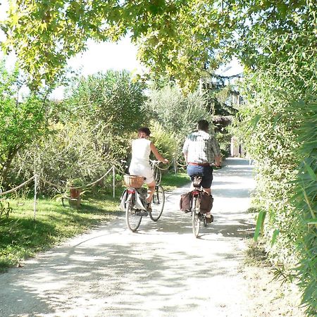 International Glamping Lago Di Bracciano Trevignano Romano Buitenkant foto