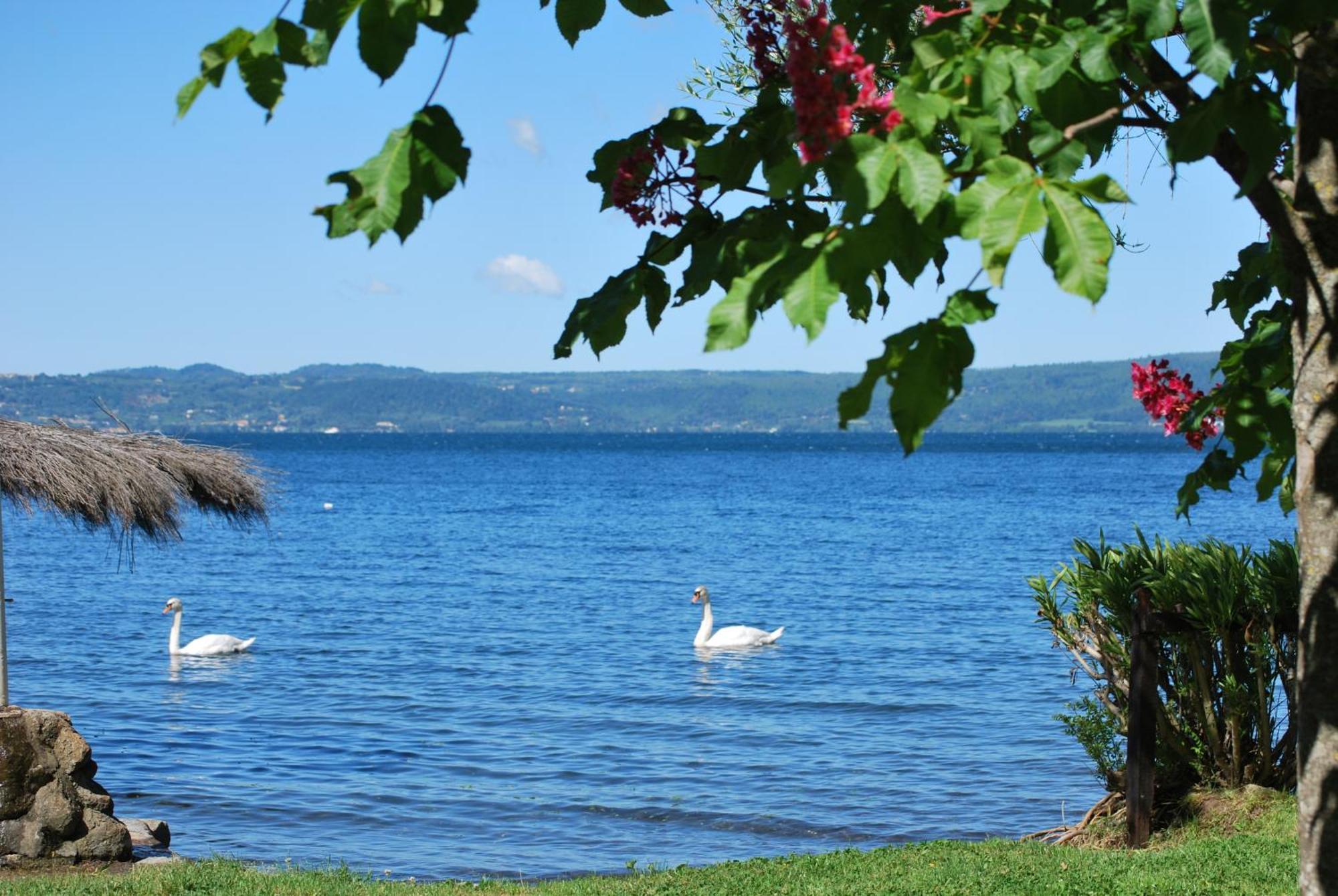 International Glamping Lago Di Bracciano Trevignano Romano Buitenkant foto