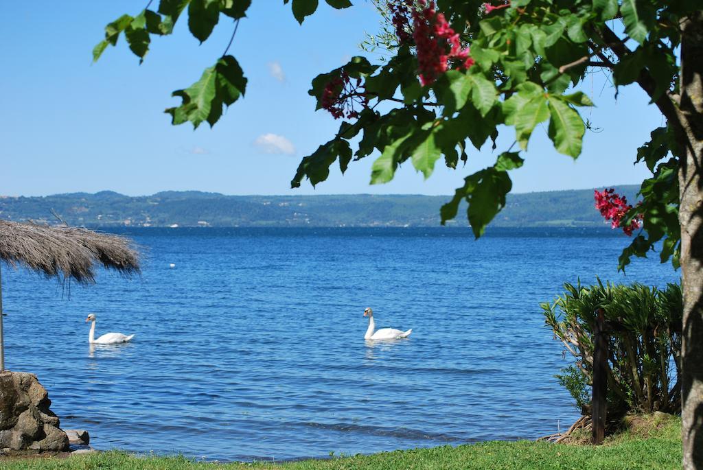 International Glamping Lago Di Bracciano Trevignano Romano Buitenkant foto