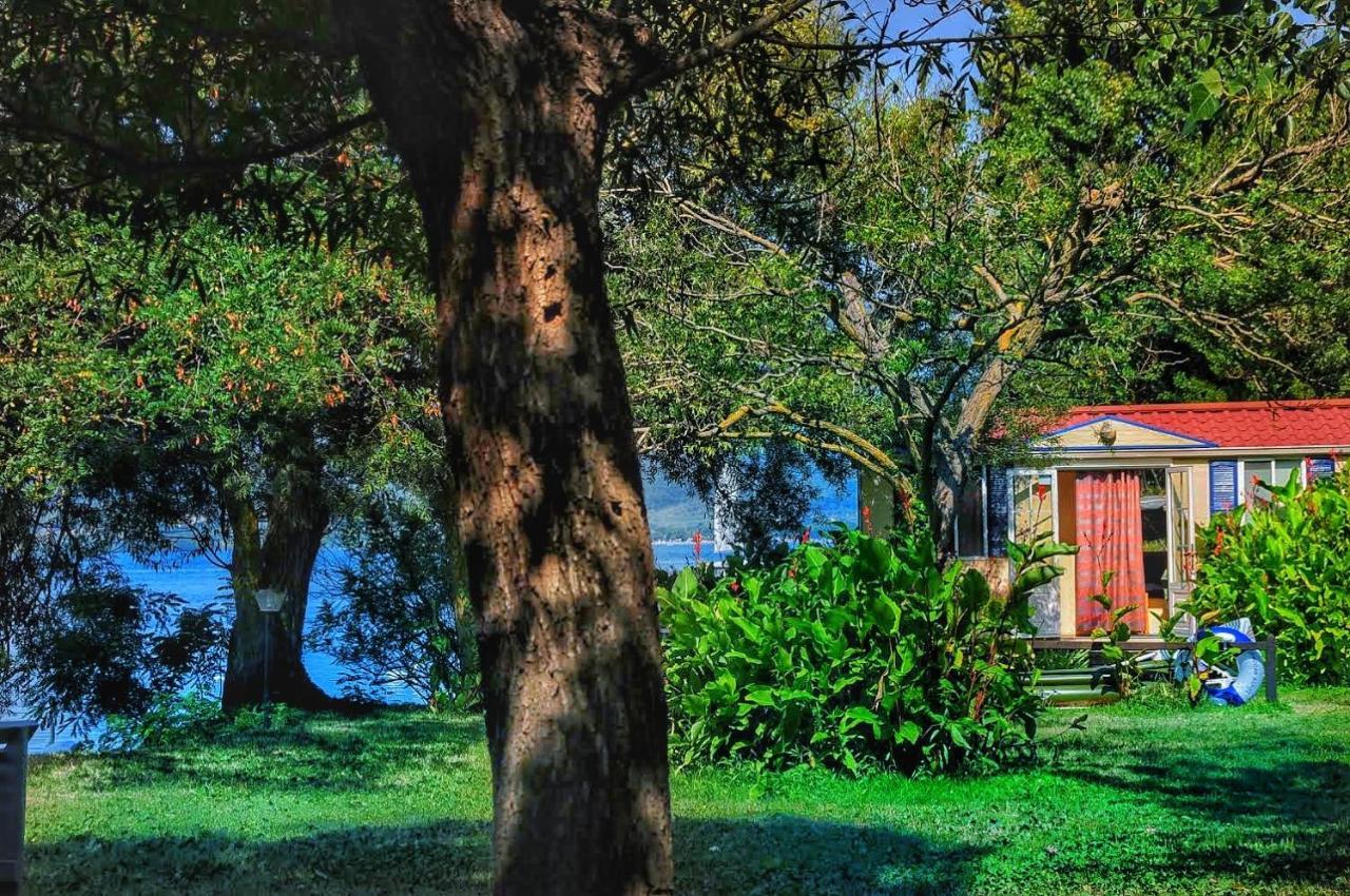 International Glamping Lago Di Bracciano Trevignano Romano Buitenkant foto